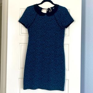 Navy blue, leopard print, bodycon dress.